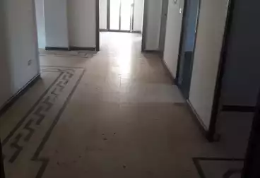 عقارات للإيجار - 11 غرف - بالدور 4