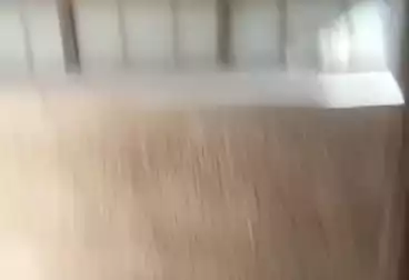 Apartments For sale - 2 rooms - floor 1