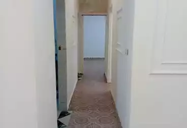 شقق للبيع - 2 غرف - بالدور 1