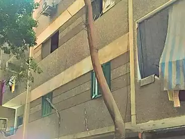 منزل / بيت للبيع - 2 غرف