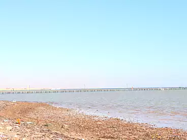 شقق للبيع - 1 غرف - بالدور 1