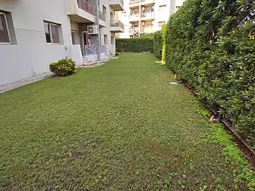Properties For rent - 3 rooms - floor 0