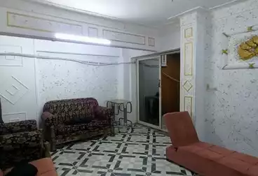 شقق مفروشة للإيجار - 2 غرف - بالدور 1