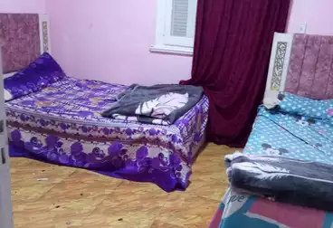 Properties For rent - 2 rooms - floor 5