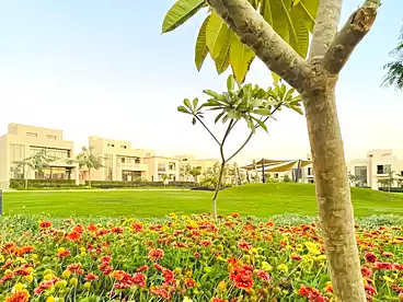 Apartments For sale - 3 rooms - floor 0