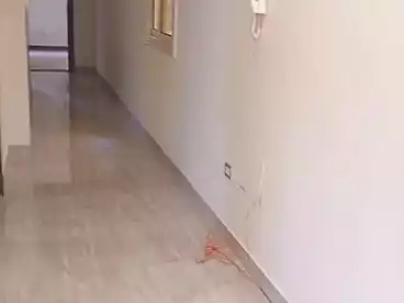 Apartments For rent - 3 rooms - floor 1