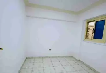 شقق للبيع - 2 غرف - بالدور 7