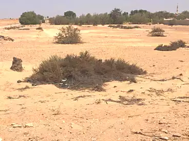 أراضي للبيع