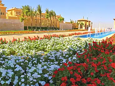 Properties For sale - 5 rooms