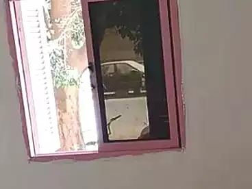 Properties For rent - 1 rooms - floor 0