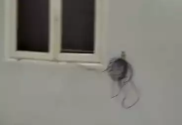 Apartments For sale - 3 rooms - floor 1