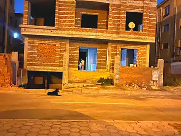 Villas For sale - 10 rooms