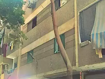 House / Home For sale - 3 rooms