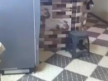 شقق للبيع في شارع أحمد عصمت، عين شمس، 85 متر