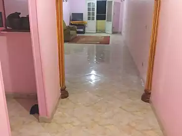 عقارات للإيجار في الزيتون الغربية، الزيتون، 150 متر