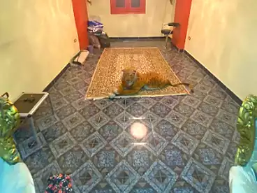 عقارات للبيع في شارع مصطفي باشا، الزيتون الشرقية، 120 متر