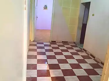 Apartments For sale in Yakout El Hamawi St., Shamaa, 65 sqm
