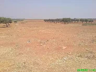 للبيع في الحي السابع، الشيخ زايد، 1700 متر
