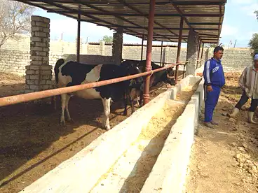 أراضي للبيع في برج العرب، الاسكندرية، 3000 متر