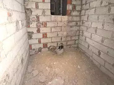 شقق للبيع في شهر العسل، البيطاش، 80 متر