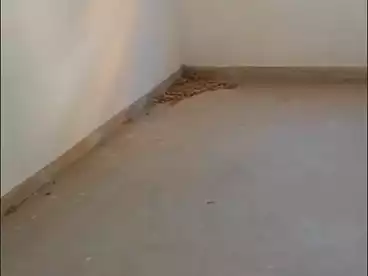 شقق للبيع في الهانوفيل، العجمي، 90 متر