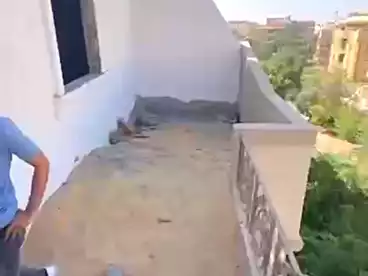Roof For sale in El Sheikh Abd El Aziz Gawish St., El Narges 2, 220 sqm