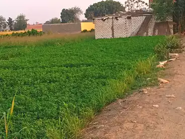 أراضي للبيع في الوراق، الجيزة، 400 متر