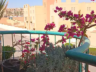 Apartments For sale in Fifth Neighborhood, Third Settlement, 135 sqm