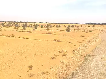 أراضي للبيع في وادي النيل، الحزام الأخضر، 31000 متر