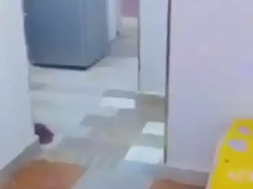 Furnished Apartment For sale in El Tawabek, Faisal, 80 sqm