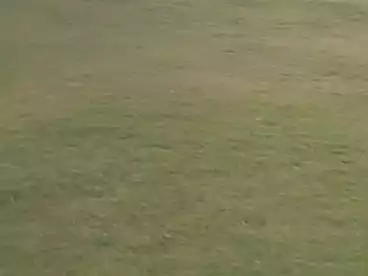 شقق للبيع في شارع السواحل، فايد، 55 متر