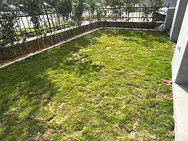 Apartments For rent in Eastown Parks - Eastown Compound, Eastown Compound - Sodic, 182 sqm