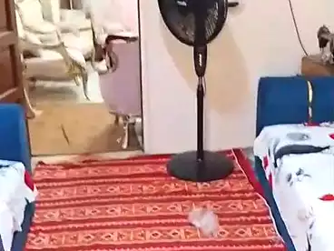شقق للبيع في الدخيلة، الاسكندرية، 90 متر