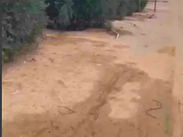 أرض زراعية للبيع في بني مزار، المنيا، 474600 متر