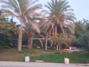 Properties For rent in El-Bahira St, Borg El Arab, 250 sqm