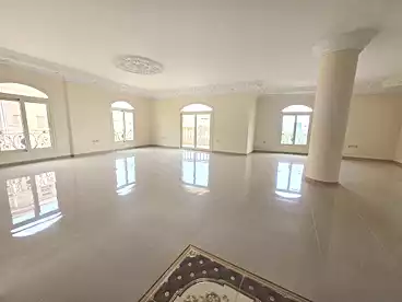 عقارات للإيجار في احمد عكاشة، شارع د، 250 متر