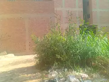 أراضي للبيع في حلوان، القاهرة الكبرى، 260 متر
