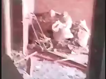 شقق للبيع في النعام، عين شمس، 130 متر