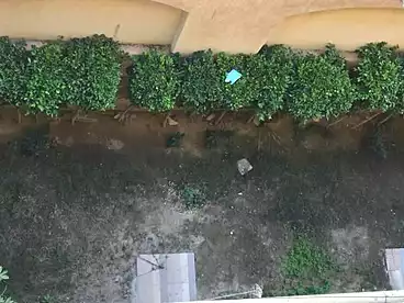 Apartment with Garden For rent in Street 79, Second Neighborhood, 180 sqm