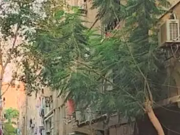 مباني للبيع في ترسا، شارع خاتم المرسلين، 90 متر