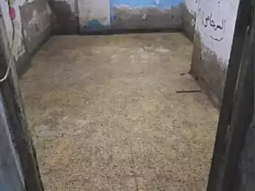 Properties For rent in Hoda El Islam Mosque St., Sidi Beshr Qebli, 30 sqm