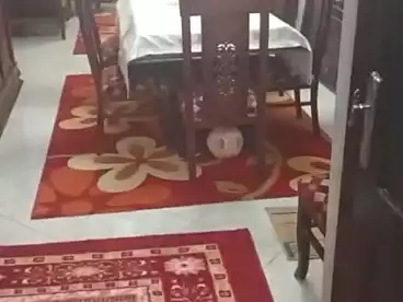شقق للبيع في طريق كعبيش، فيصل، 150 متر