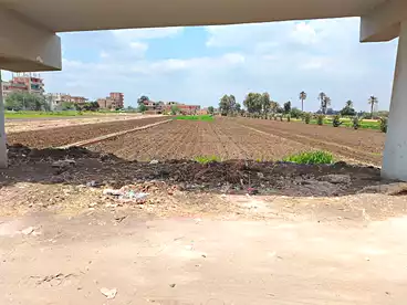 Properties For sale in El Safeen, Kafr Shukr, 1750 sqm
