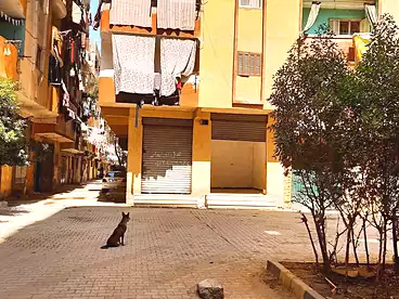 عقارات للبيع في شارع الصفا والمروة، فيصل، 160 متر
