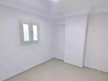 شقق للبيع في الفلكي، السيوف، 100 متر