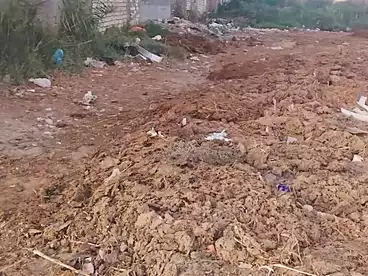 أراضي للبيع في الفلكي، السيوف، 150 متر