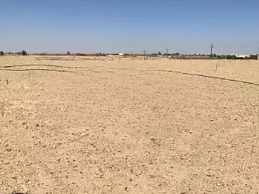 أراضي للبيع في الحي السادس وثلاثون، العاشر من رمضان، 209 متر