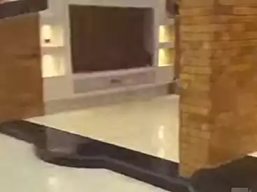 شقق للبيع في شارع محمد شكري، الزيتون البحرية، 260 متر