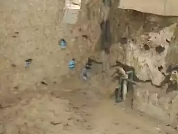 شقق للبيع في الزيتون الشرقية، الزيتون، 90 متر
