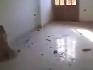 Apartments For sale in Hoda El Islam Mosque St., Sidi Beshr Qebli, 130 sqm